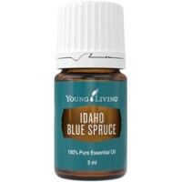 Young Living Ätherisches Öl: Blaufichte (Idaho Blue Spruce) 5ml