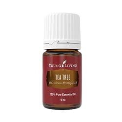 Young Living Ätherisches Öl: Tea Tree (Teebaum) 5ml