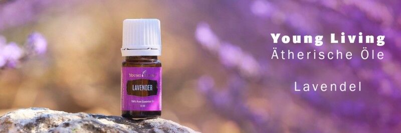 Young Living Lavendel
