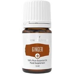 Young Living Ätherisches Öl: Ingwer+ (Ginger+) 5ml